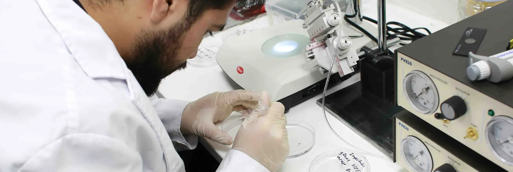 Científico manipulando muestras biológicas con guantes en un entorno de laboratorio
