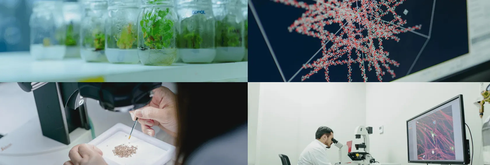 Collage de fotos sobre ciencia e investigación universitaria