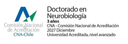 Doctorado en Políticas Públicas