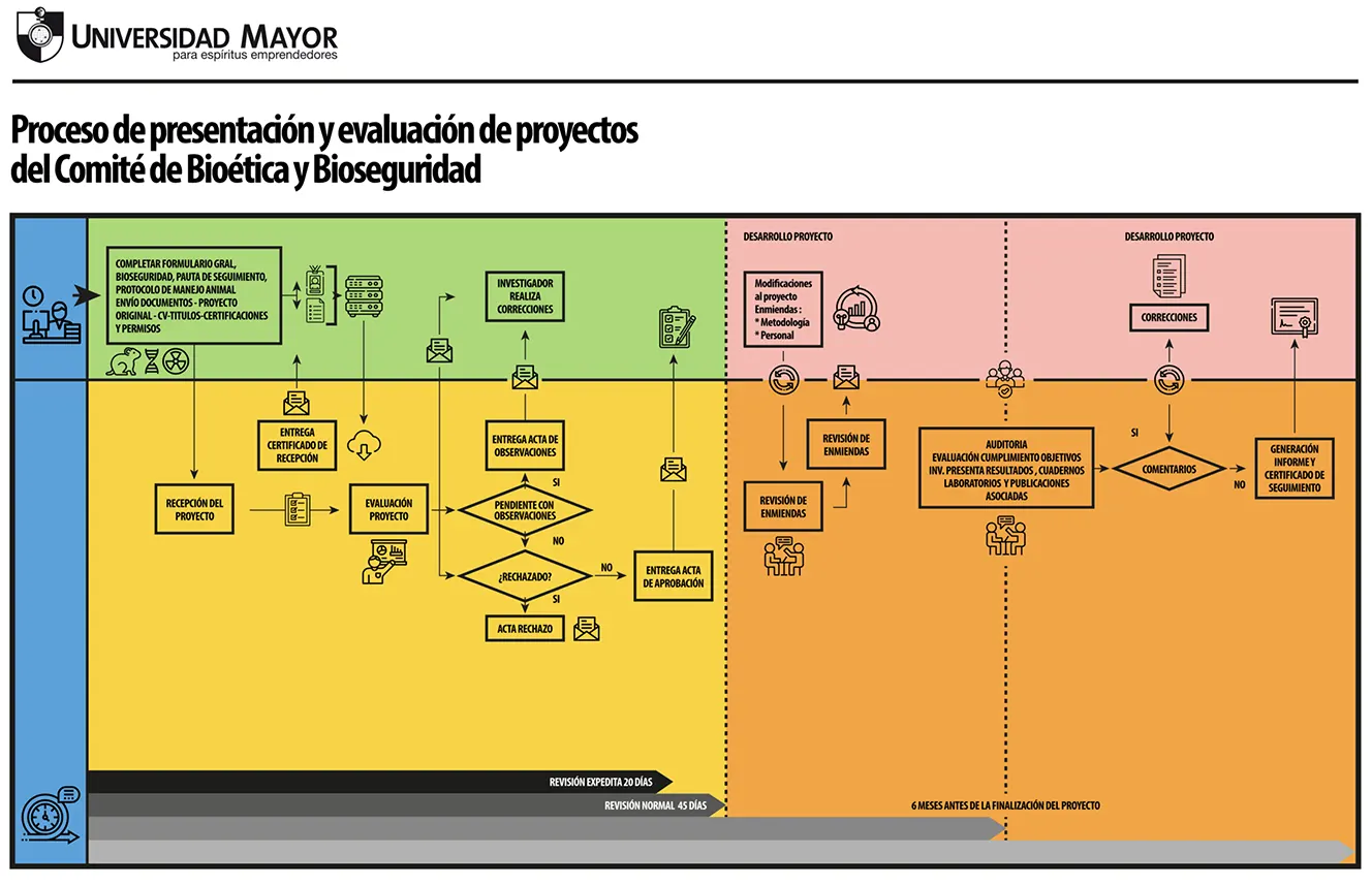 Proceso CBB